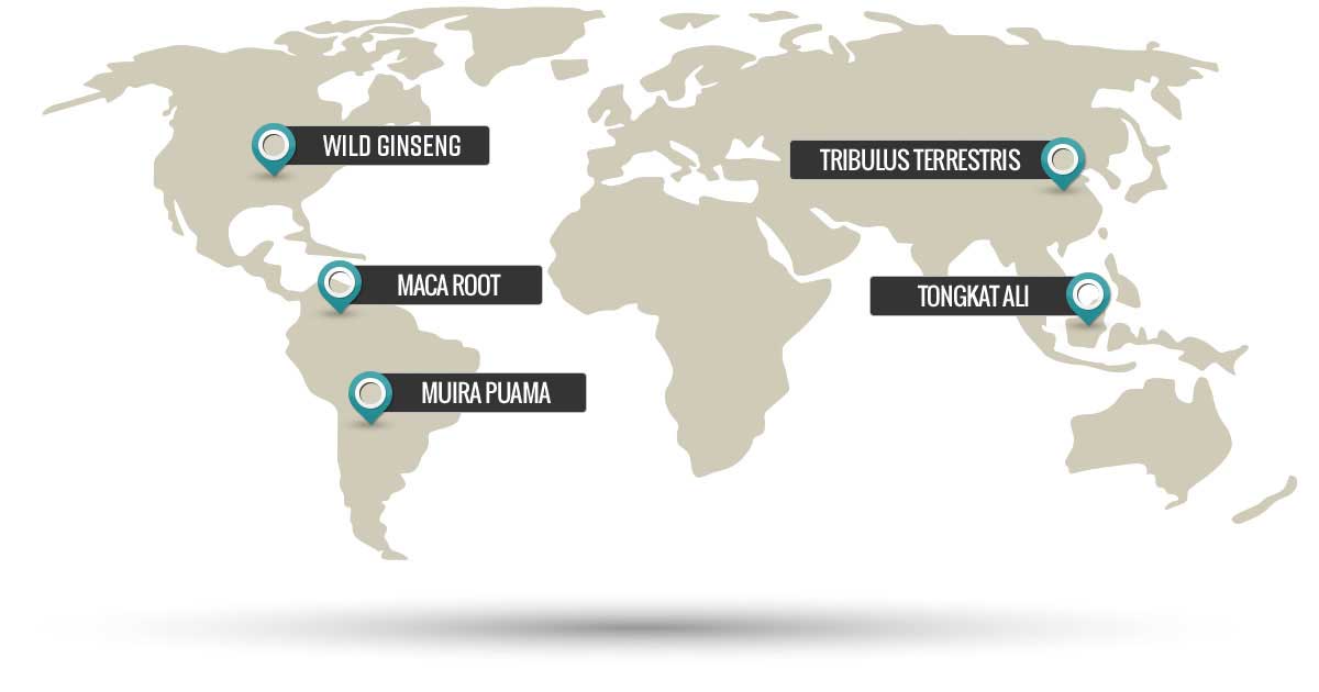 Biomanix Ingredients Map